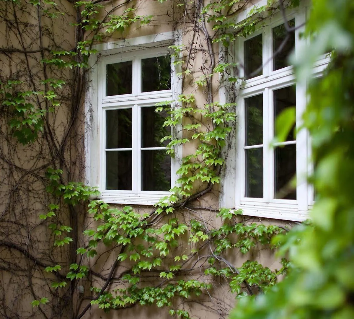 Hotel Schwalbe Vienna